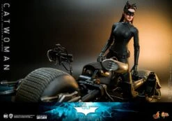 *PRE-ORDER Catwoman - Batman: The Dark Knight Hot Toys Collectibles 1/6 Scale Action Figure -Hasbro Store catwoman dc comics gallery 61b033290ff4c