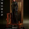 *PRE-ORDER Catwoman - Batman: The Dark Knight Hot Toys Collectibles 1/6 Scale Action Figure 1 *PRE-ORDER Catwoman - Batman: The Dark Knight Hot Toys Collectibles 1/6 Scale Action Figure -Hasbro Store catwoman dc comics gallery 61b0332c56e89