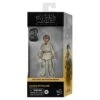 Hasbro *PRE-ORDER Star Wars Black Series Phantom Menace Exclusive 6 Inch Action Figure - Anakin Skywalker -Hasbro Store g00265l20 pkg 23 2000px 300dpi
